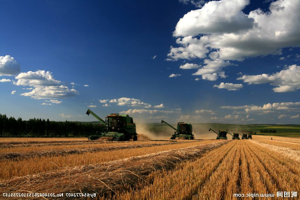 农业品牌策划多久能成功呢？